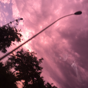 四虎精品在线观看
